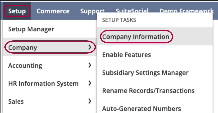 NetSuite Setup menu open with Company > Company Information highlighted