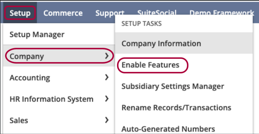 NetSuite Setup menu open with Company > Enable Features highlighted