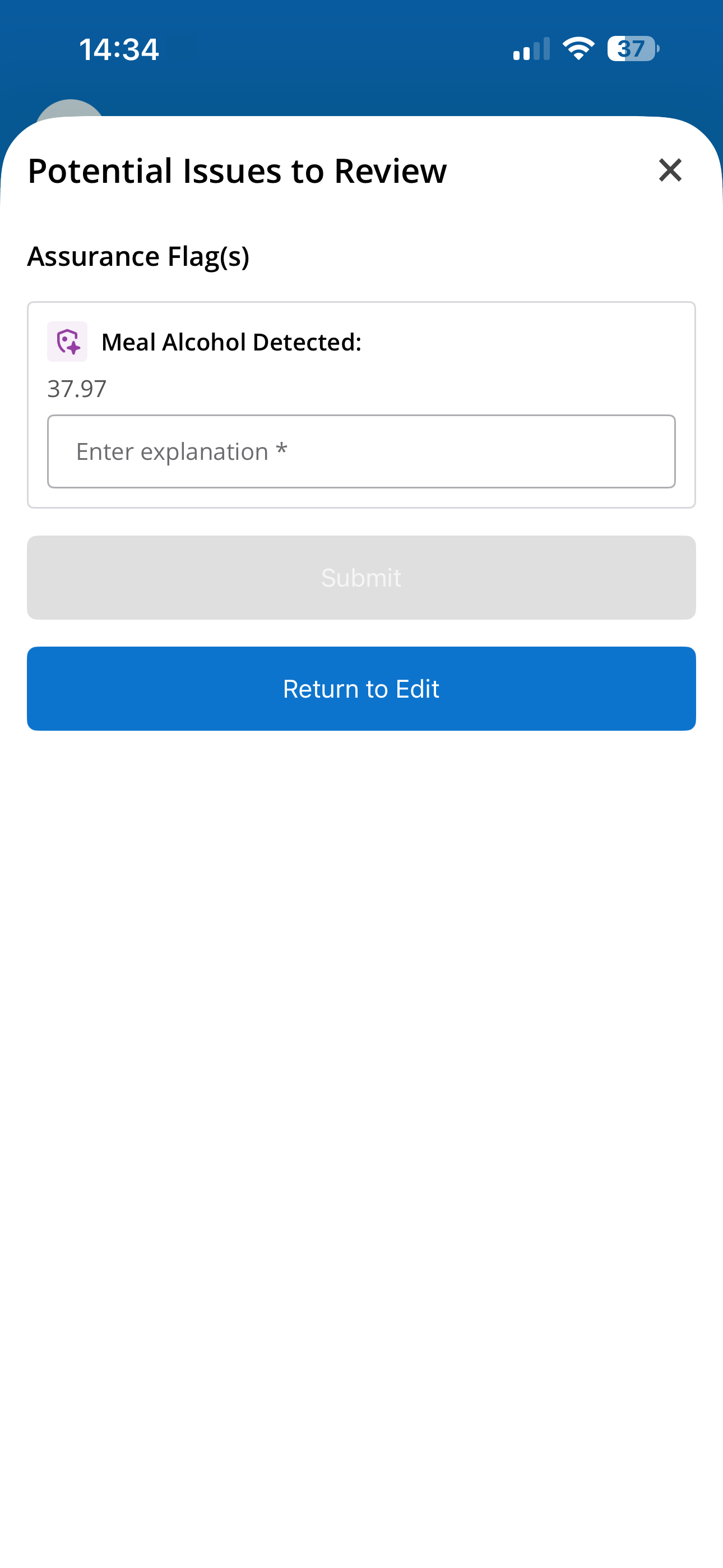 Potential Issues to Review screen showing flagged issue and explanation field