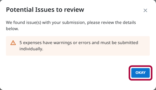Potential Issues to Review window showing transactions that require individual submission.